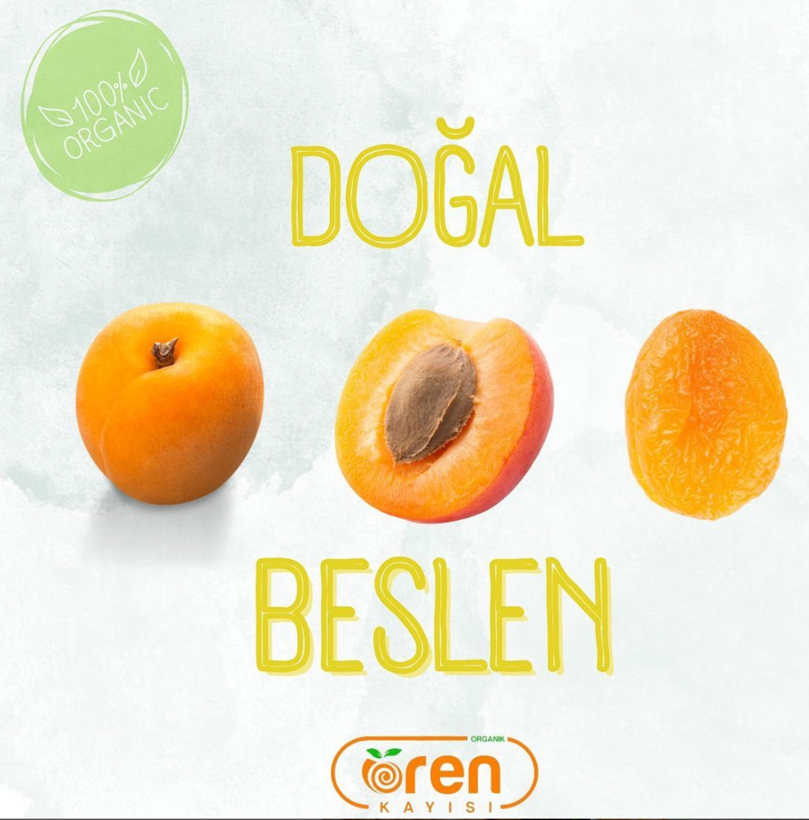 SOSYAL MEDYA PAYLAŞIMLARIMIZ